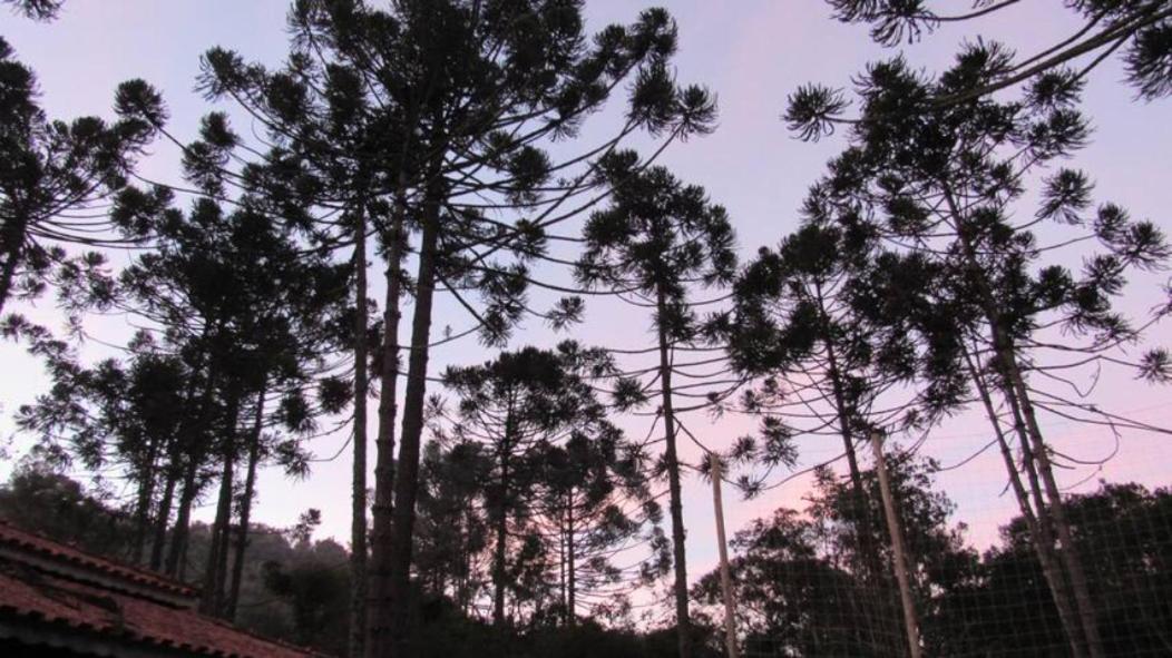 Chacara Capucho & Macedo Villa Cunha Buitenkant foto